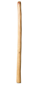 Medium Size Natural Finish Didgeridoo (TW1561)